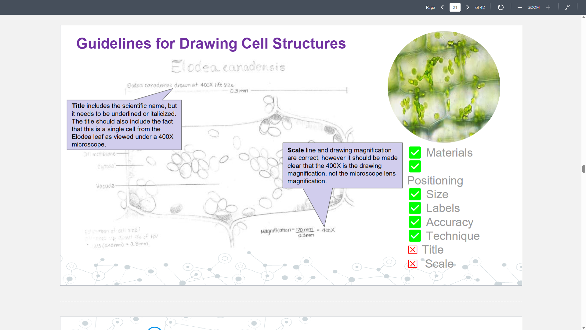 knowt flashcard image
