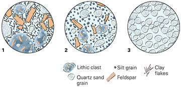 According to the diagram, which sediment sample is considered immature, and why?