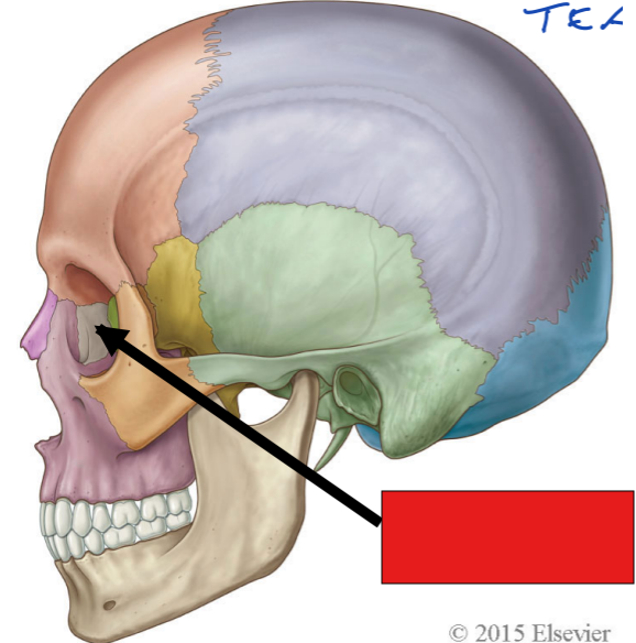 <p>fill in the reed box:</p>