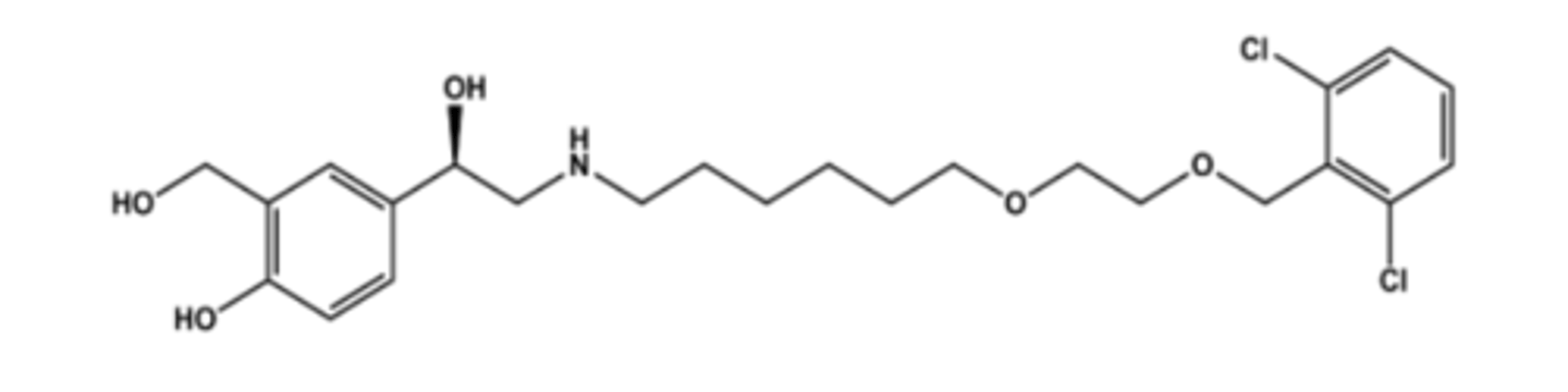<p>large lipophilic group on the nitrogen atom</p>