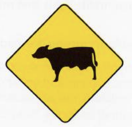 <p>Cow Crossing</p>