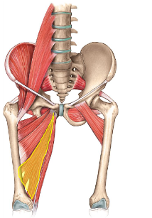 <p>What is this?</p>