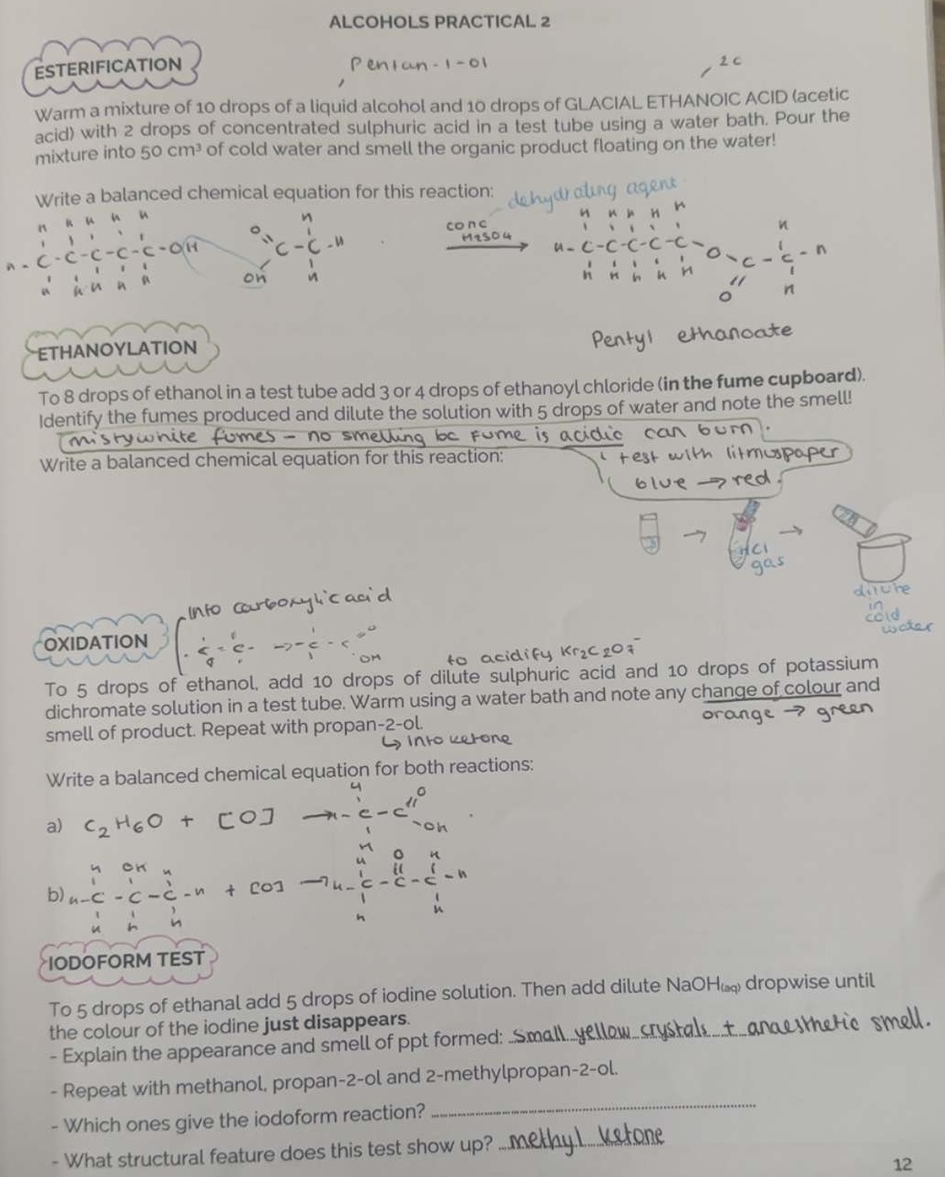 knowt flashcard image