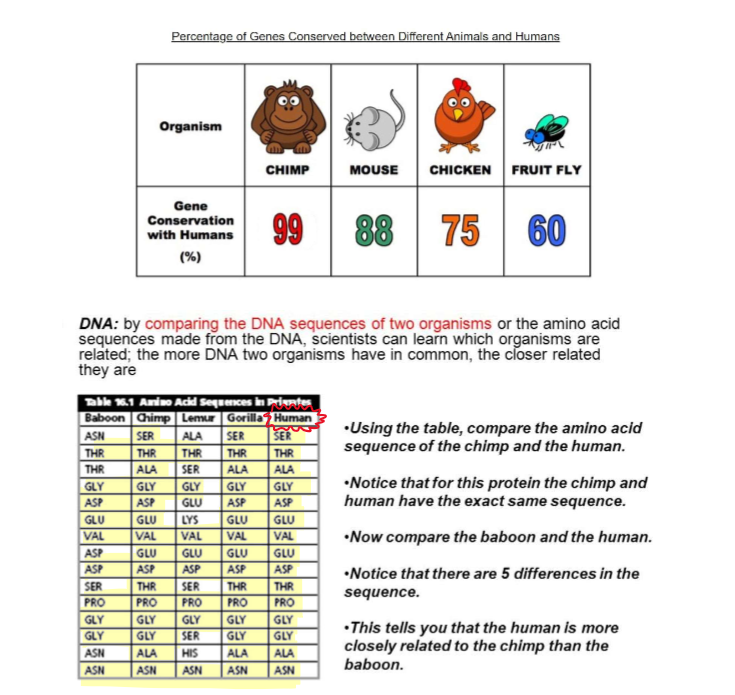 <ul><li><p>If we want to determine which organisms in a group are most closely related, we need to use different types of molecular features such as the nucleotide sequences of genes, or the sequence of amino acids in proteins. The more DNA two species have in common, the more closely related they are.</p></li></ul><p></p>