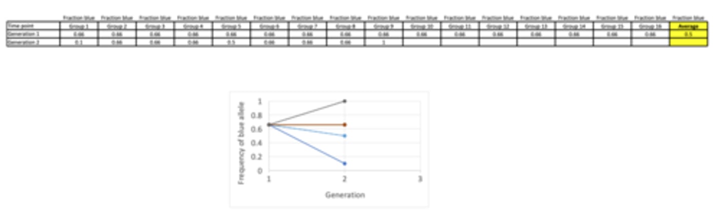 <p>- Initial fraction of blue beads = 0.66</p><p>- Final average of blue beads = 0.61777778</p>