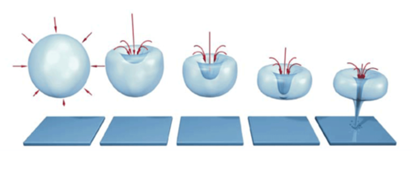 <p>Bubble oscillations become large -&gt; bubbles collapse -&gt; shock waves -&gt; high temperatures -&gt; tissue damage</p>