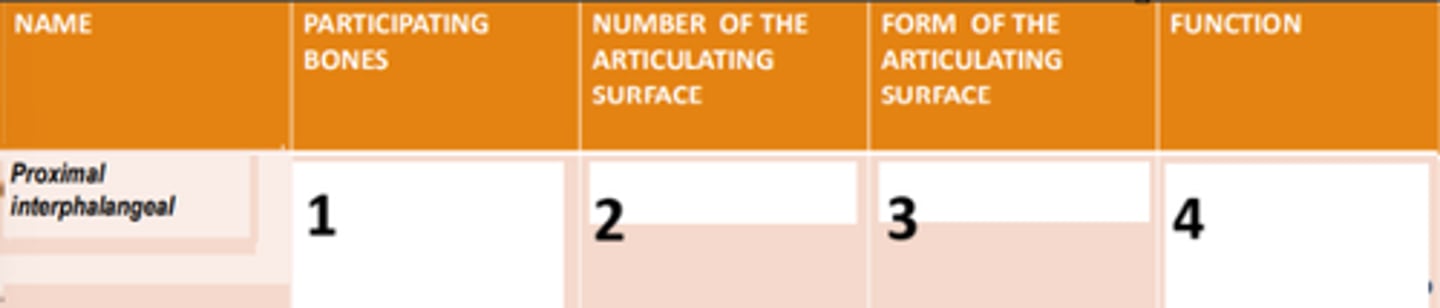 <p>4</p>