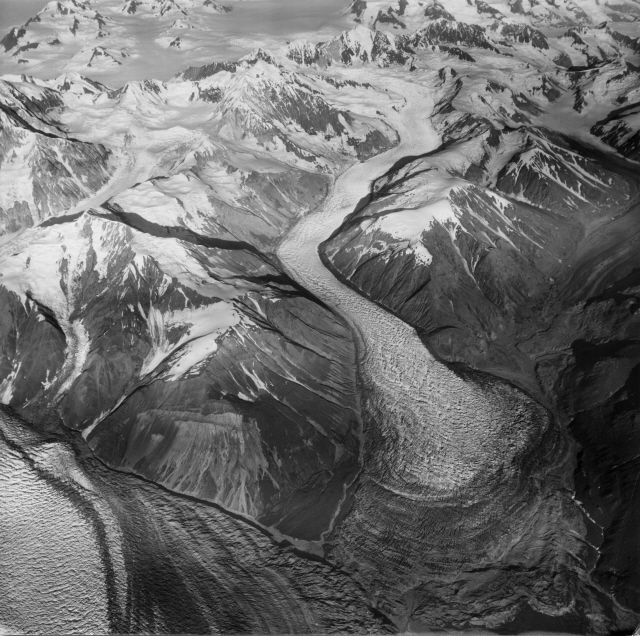 <p>a major outflowing glacier of a mountain glacier system</p>