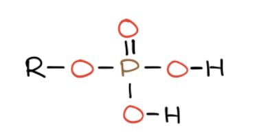 <p>What functional group is this?</p>