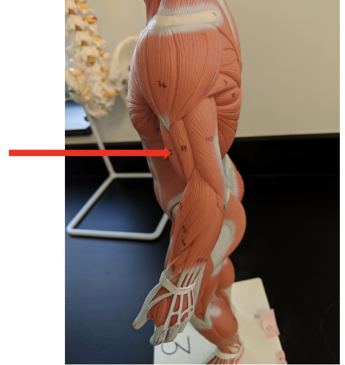 <p>what is this?</p>