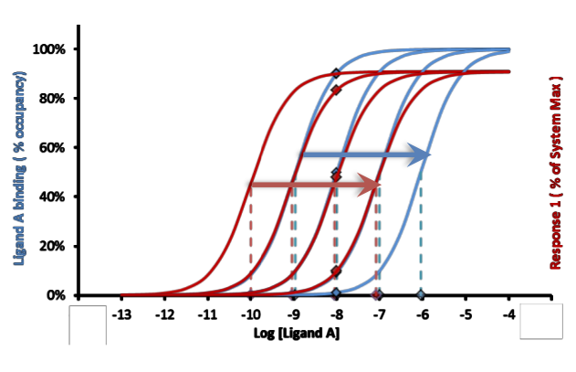 <p><strong>Competitive Antagonism</strong></p><p><strong><em>As concentration of antagonist increases</em></strong></p><ul><li><p>Agonist <em>apparent </em>affinity ______</p></li><li><p>Potency is ______</p></li><li><p>Can be surmounted by more _____</p></li></ul><p></p>