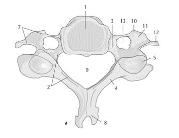 <p>9</p>