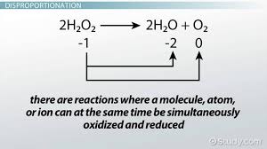 <p>disproportionation  also known as dismutation </p>