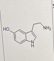 <p>Which of the following is/are correct about the molecule shown below?</p><p>I. It is the neurotransmitter serotonin</p><p class="p1">Il. It is eliminated from the synapse through reuptake</p><p class="p1">IlI. It has a net positive charge under physiological pH</p>