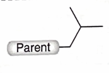 <p>Identify this branch Alkyl substituent</p>