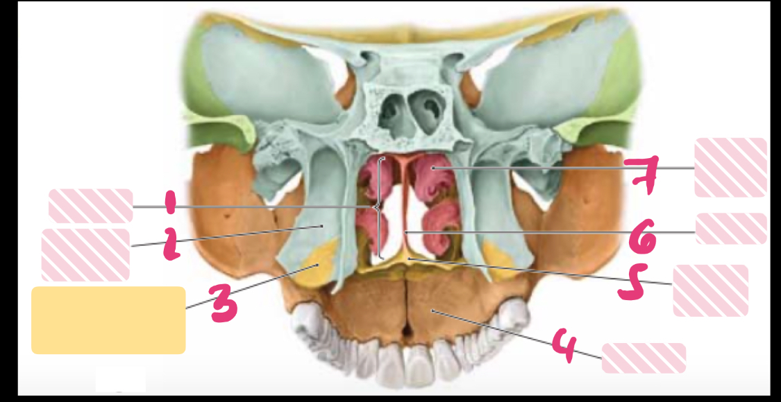 <p>label the parts </p>