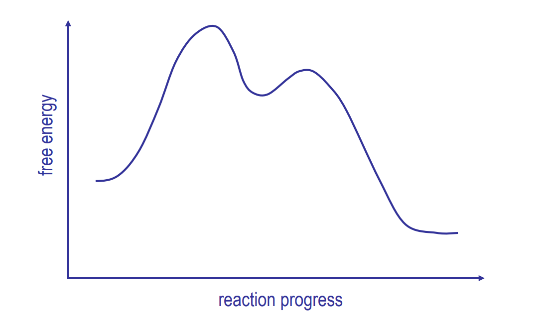 <p>Fill in the chart</p>