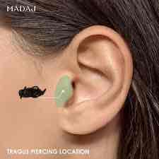 <p><span>Name this structure</span></p>