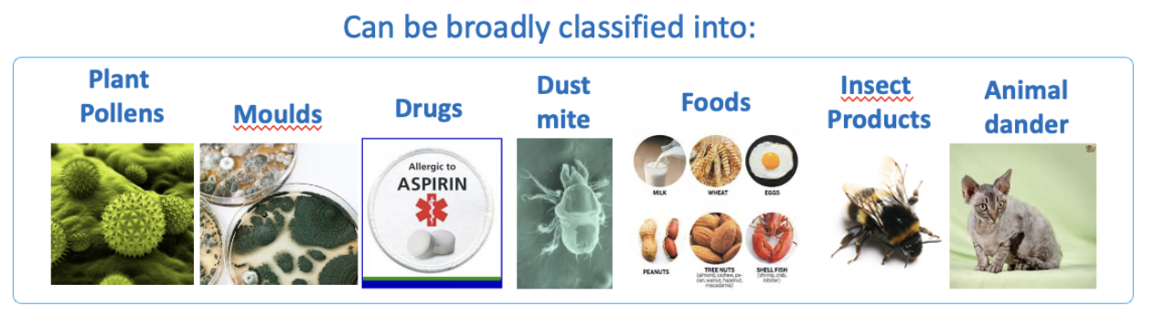 <ul><li><p>proteins or glycoproteins (bind MHC)</p></li><li><p>possess many antigenic sites (epitopes) per molecule</p></li><li><p>often have intrinsic enzymatic properties (favour transition into body)</p></li><li><p>may contain potential PAMPs, stimulating innate immunity</p></li><li><p>may enter mucosal tissues at low concentrations, including IgE-stimulating Th2 response</p></li><li><p>self protein homology</p></li><li><p>seasonal or perennial</p></li></ul><p></p>
