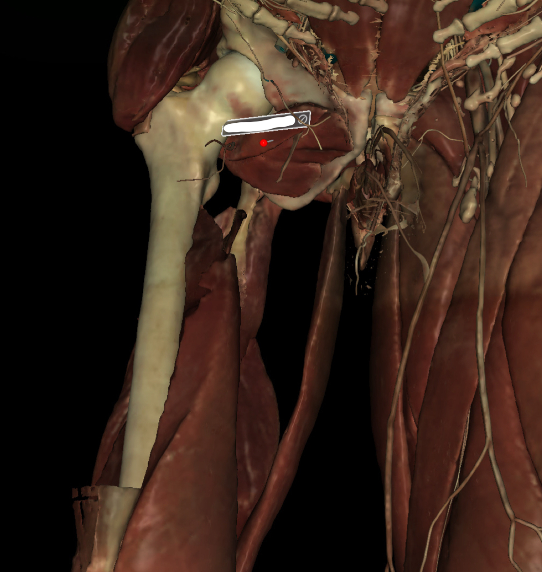 <p>Identify the Structure</p>