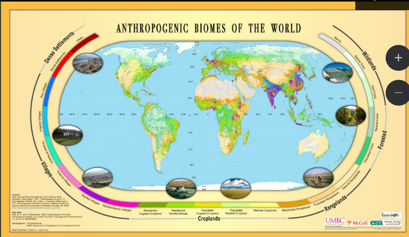 <ul><li><p>across the world, there are 50 million square miles of land that are ice free </p></li><li><p>used as the baseline for human impacts </p></li><li><p>humans have directly transformed 50% of this </p><ul><li><p>crops, pastures, logging, minings, cities </p></li></ul></li><li><p>only 23 million square miles left </p><ul><li><p>of that, 3/5 is the forests</p><ul><li><p>this is not even pristine due to lines, pipelines, etc.</p></li></ul></li></ul></li></ul><p></p>