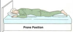 <p>Prone</p>