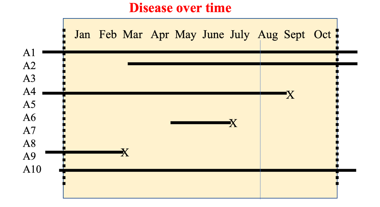 <p>disease point prevalence on August 1st? Disease incidence over 10 months? Disease period prevalence over 10 months? </p>