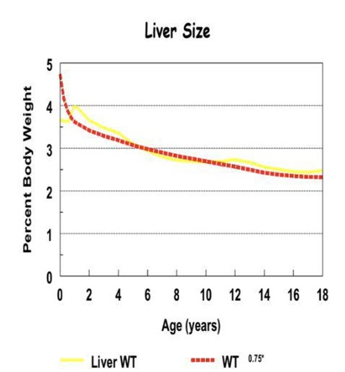 <p>Higher total body water and lower body fat affect drug handling in pediatrics</p>