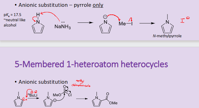 <ul><li><p>it can occur on the Nitrogen and on the alpha carbon atom </p></li></ul><p></p>
