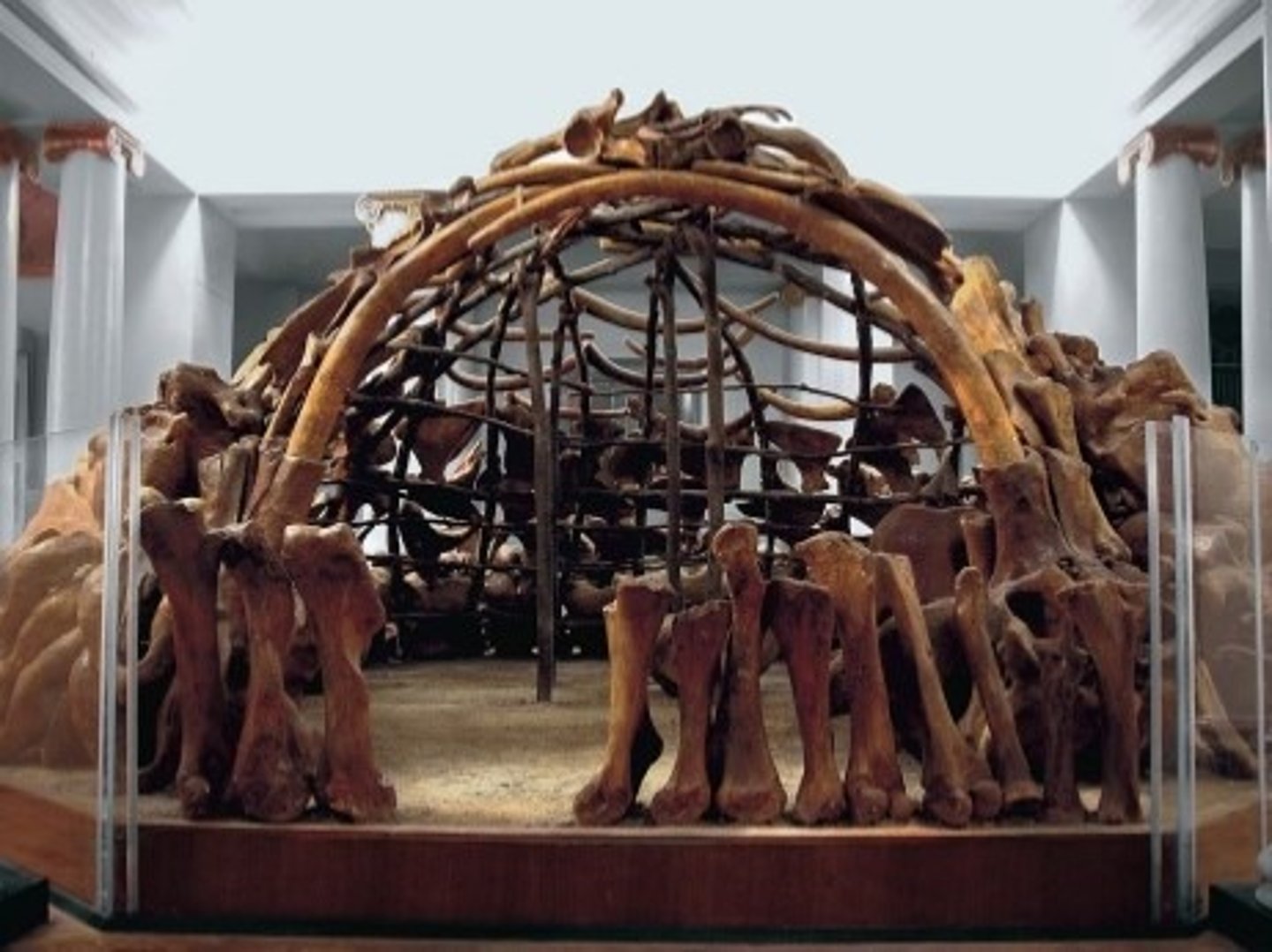 <p>-Circular arrangement of mammoth bones</p>