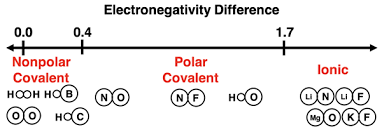 <p>Describes how <strong>electrons are unevenly shared</strong> in a covalent bond or distributed in a molecule, creating <strong>partial positive (δ⁺) and partial negative (δ⁻) charges</strong>.</p><ul><li><p>Caused by <strong>differences in electronegativity</strong> between atoms.</p></li><li><p><strong>Polar bond:</strong> electrons shared unequally.</p></li><li><p><strong>Nonpolar bond:</strong> electrons shared equally.</p></li><li><p><strong>Polar molecule:</strong> overall dipole exists</p></li><li><p><strong>Nonpolar molecule:</strong> no net dipole</p></li></ul><p>Can be calculated by finding the electronegativity difference or looking at a covalent-bonding diagram.</p>