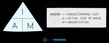 <p>image zise/actual size</p>