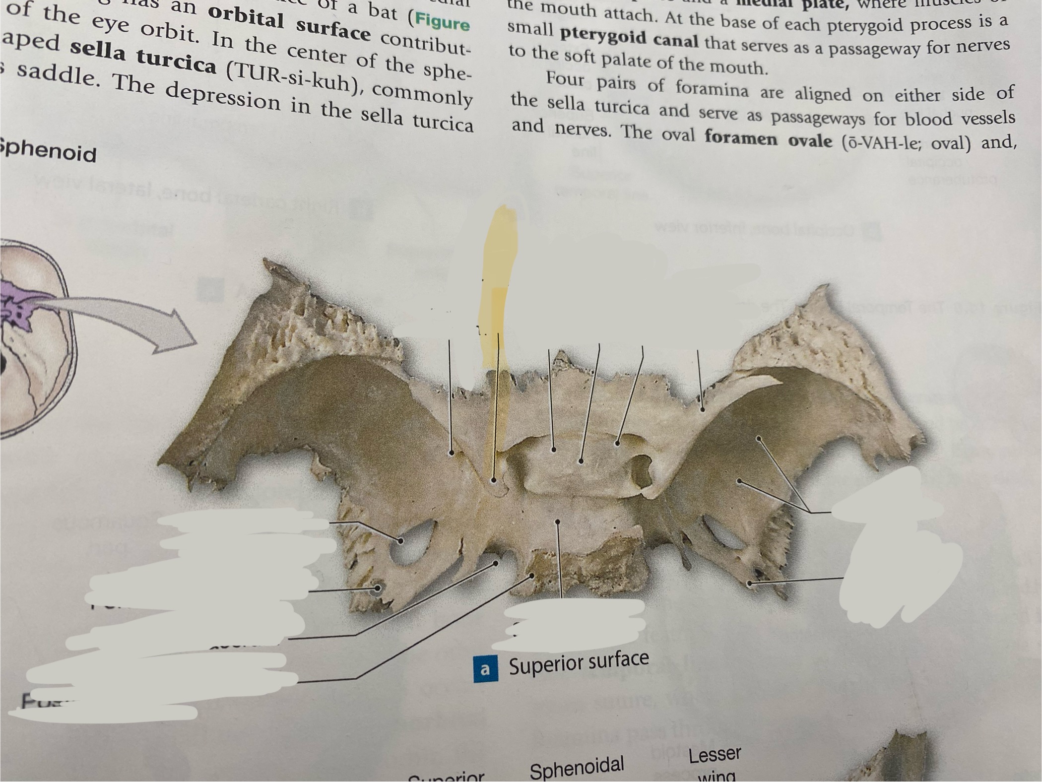 <p>What is the structure? </p>