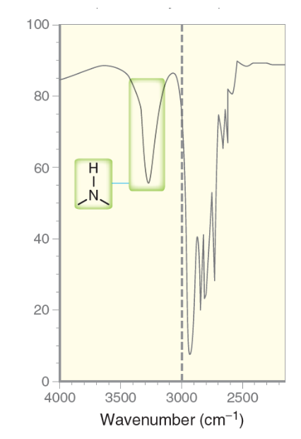 <p>Will typically demonstrate a moderate strength broad signal between the 3350 to 3500 range, with ONE broad sharp spike. </p><ul><li><p>Only shows one sharp spike or peak across the broad signals because only hydrogen atom is bound to the nitrogen atom. </p></li></ul><p></p>