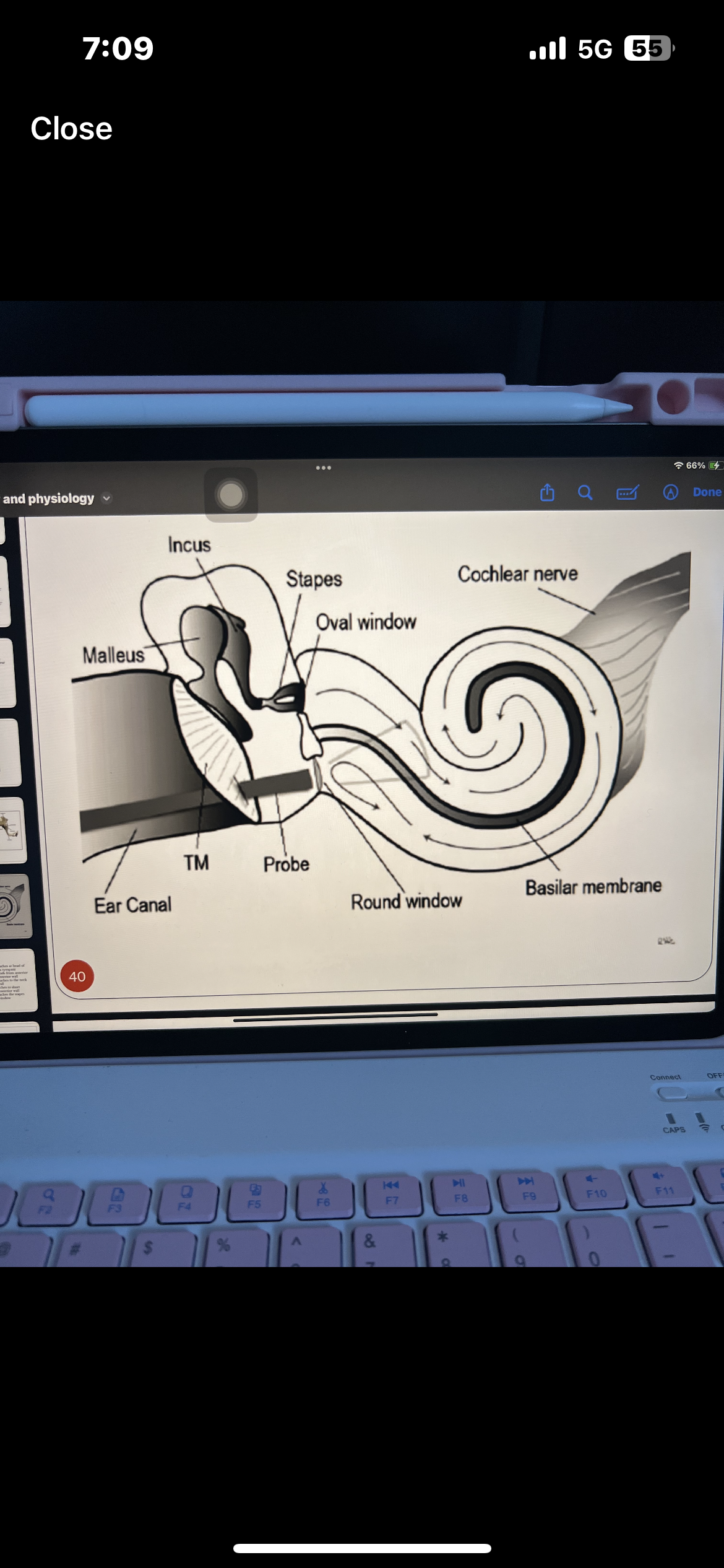 knowt flashcard image