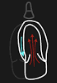 <p>Doppler Flow Velocity (PW)</p>