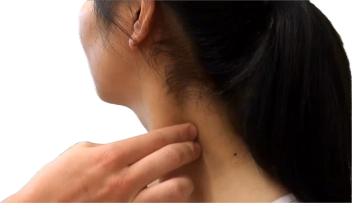 <p>Posterior cervical chain (back of sterno - both sides)</p>