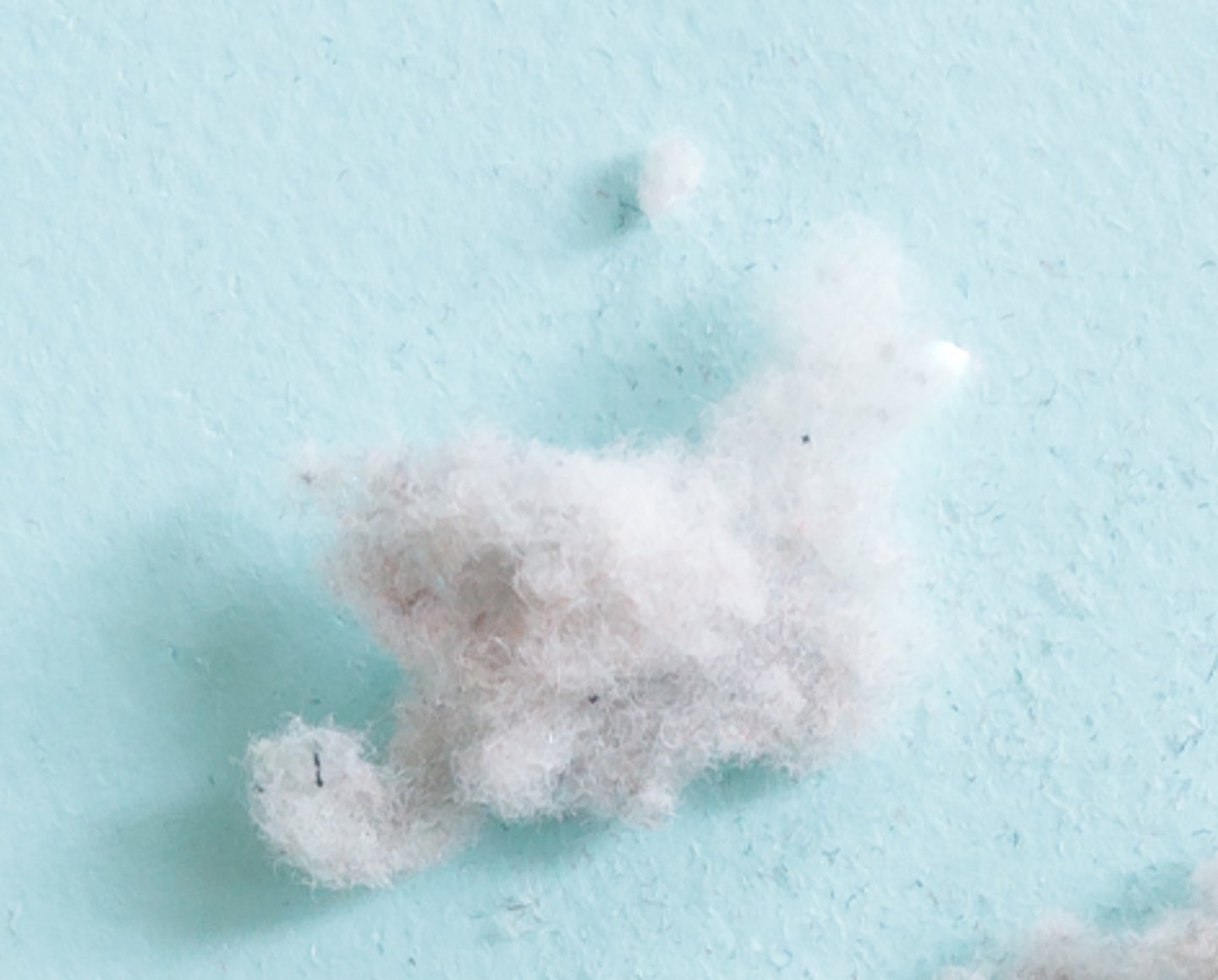 <p>fine fibers that separate from items such as wraps, textiles, paper, etc., that can settle into a wound &amp; cause infection</p>