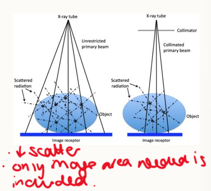 <ul><li><p>scattered radiation contributes to general image opacity and increases radiation hazard</p></li></ul><p>collimation:</p><ul><li><p>reduces production of scattered radiation</p></li><li><p>beam is collimated to minimize size necessary to include only area of interest</p></li></ul><p></p>