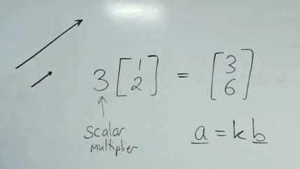 <p>If they have a scalar multiplier applied on their position vector.</p>