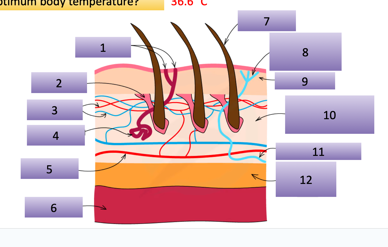knowt flashcard image