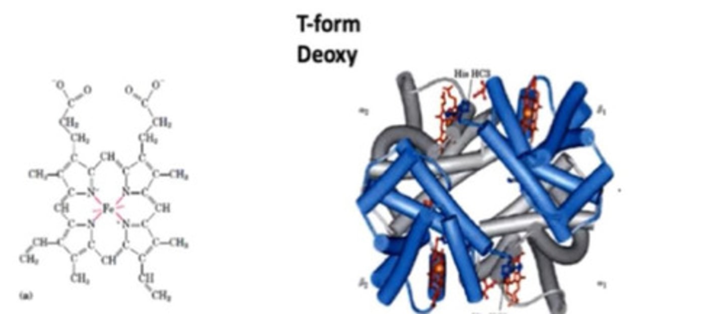 <p>- Weak ionic and hydrogen bonds between dimer pairs <br>- Strong hydrophobic interactions between a and B chains forming stable dimers</p>
