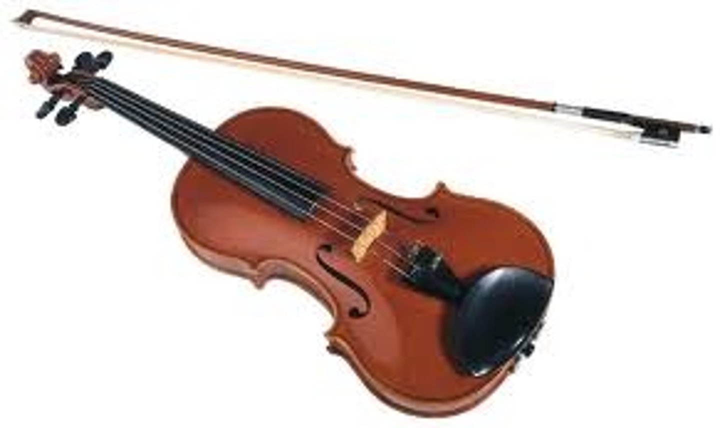 <p>violin</p>