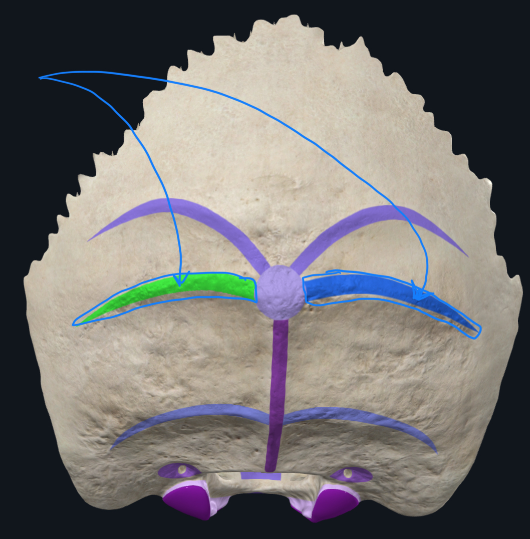 <p>what is this?</p>
