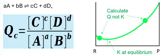 <p>the relative amounts of products and reactants at any point during a reaction</p><p>Q = K at equilibrium</p><p>Q &gt; K, reaction proceeds to left</p><p>Q &lt; K reaction proceeds to right</p>