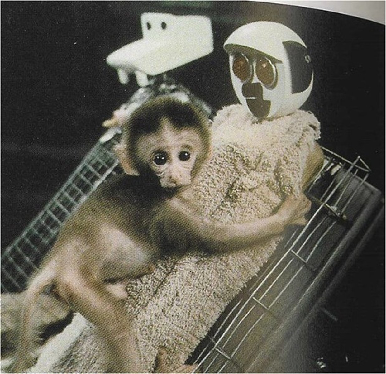 <p>1905-1981; Field: development; Contributions: realized that touch is preferred in development; Studies: Rhesus monkeys, studied attachment of infant monkeys (wire mothers v. cloth mothers)</p>