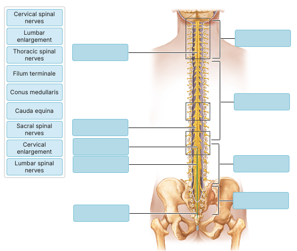 <p>Label the following</p>
