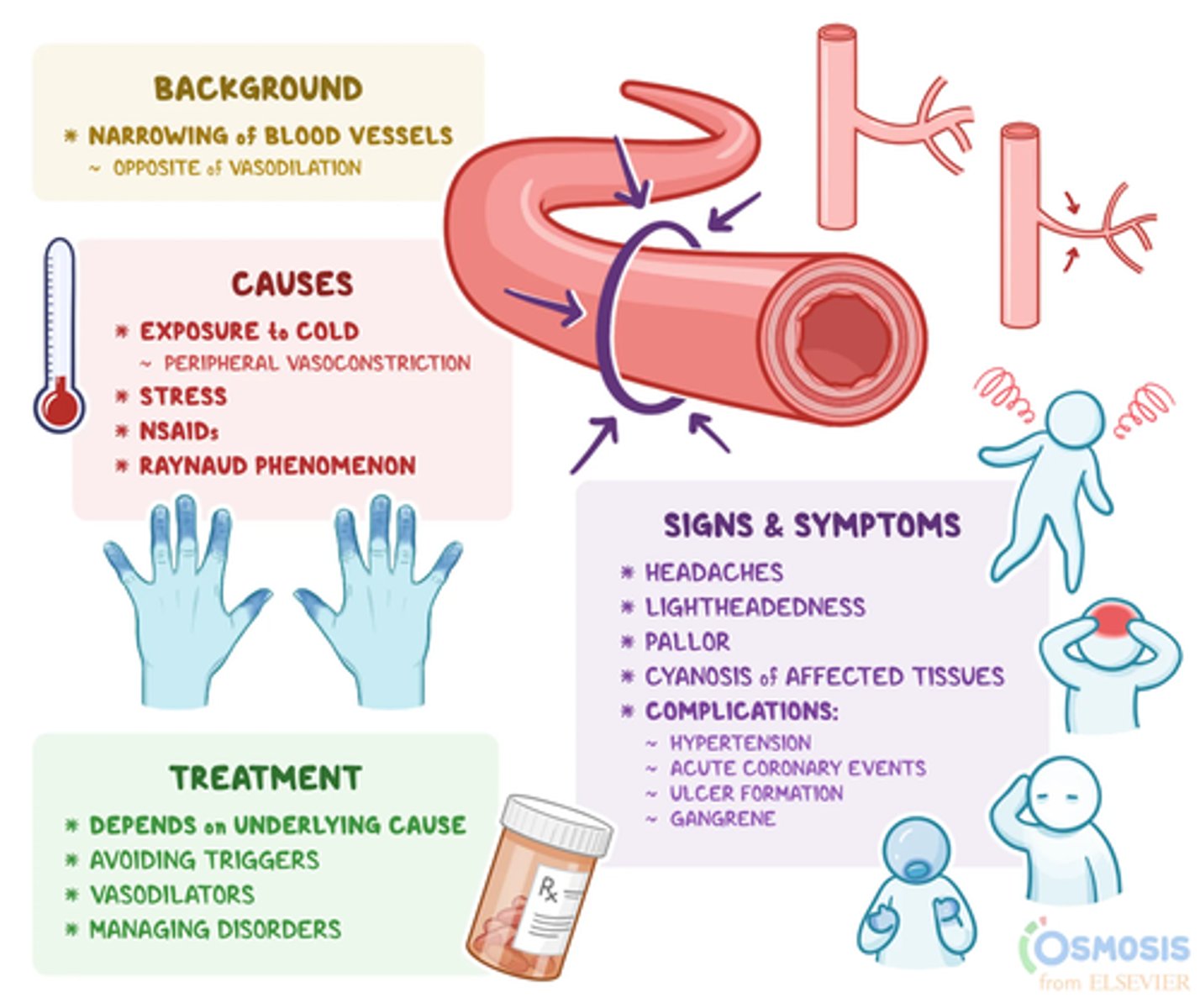 <p>- due to reflex action of blood vessels (aka Hunting reflex cause vasoconstriction, reducing blood flow to limit heat loss but after long exposure body may intermittently vasodilation &amp; increase blood flow to prevent tissue damage)</p><p>- result: decreased flow to nerves = numbness => tissue hypoxia, if prolonged => necrosis</p>