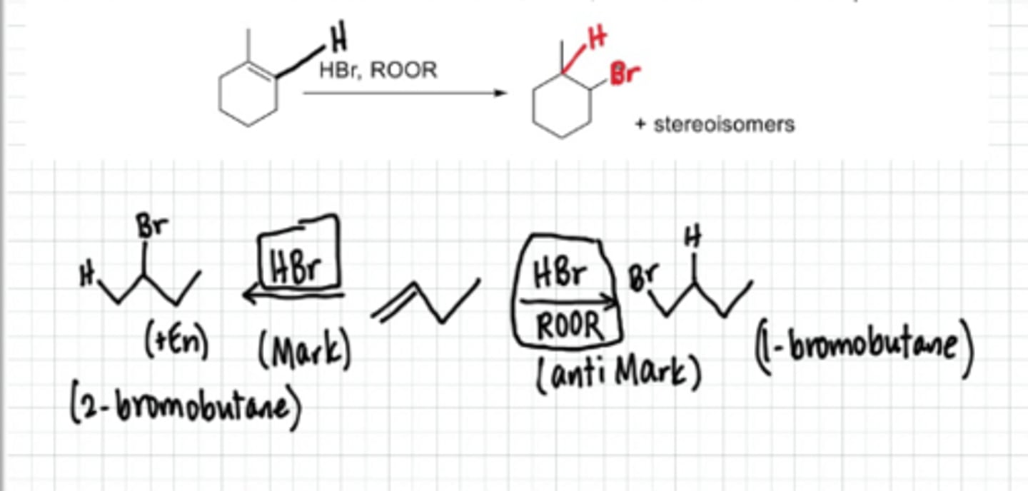 <p>REAGENTS: Hx, peroxide (ROOR)</p><p>-radical reaction w/ homolytic arrows</p>