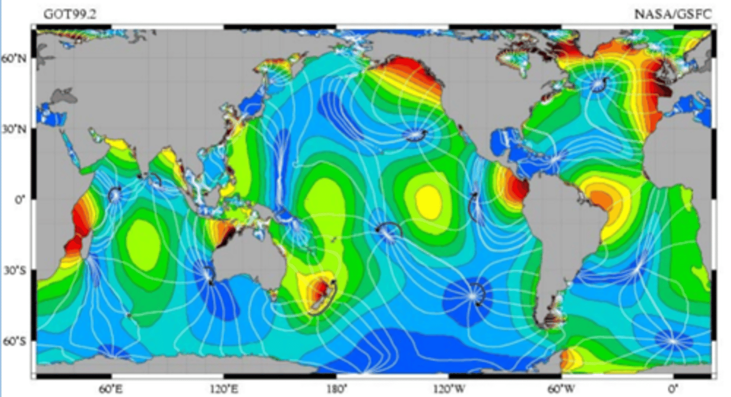 <p>Tidal Node; A geographical point where tidal height between tidal cycles is at a consistent point.</p>
